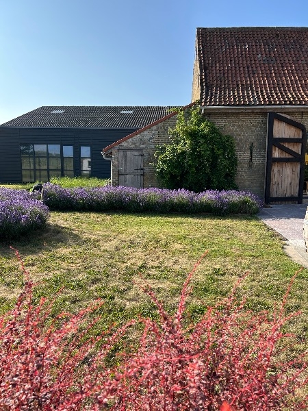 De witte herdershoeve (DAMME)