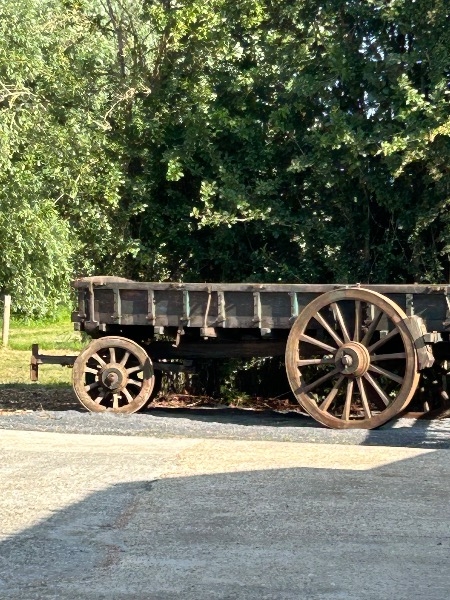 De witte herdershoeve (DAMME)