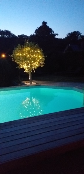 Zen garden (COURT-SAINT-ETIENNE)